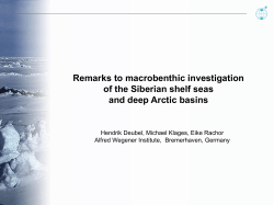 Mollusca others Crustacea Echinodermata