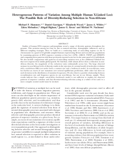 Heterogeneous Patterns of Variation Among Multiple Human X