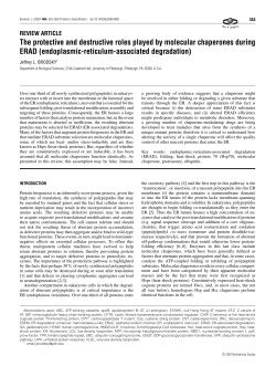 The protective and destructive roles played by molecular