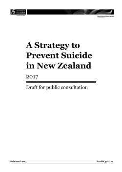 A Strategy to Prevent Suicide in New Zealand