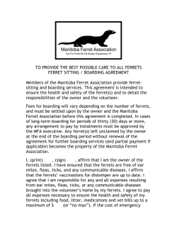 Ferret-Sitting - Manitoba Ferret Association