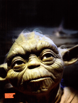 Nicknaming an older employee `Yoda` proved a costly error for one