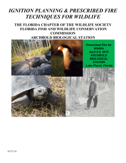 D - Florida Wildlife Society