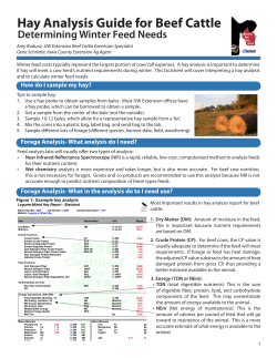 Hay Analysis Guide for Beef Cattle - For Your Information
