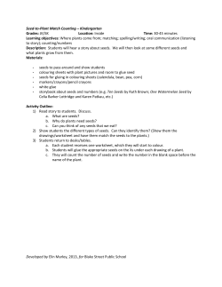 Seed-to-Plant Match - counting lesson plan