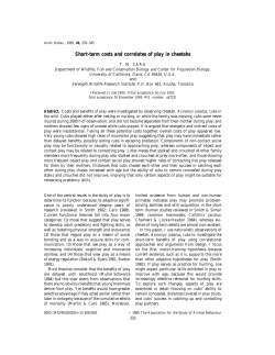 Short-term costs and correlates of play in cheetahs