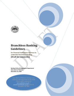 Branchless Banking Guidelines