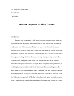 Obscured Images and the Visual Processor