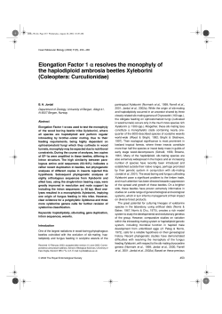 Elongation Factor 1 &alpha; resolves the monophyly of the haplodiploid