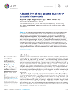 Adaptability of non-genetic diversity in bacterial chemotaxis | eLife