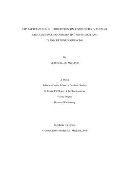 CHARACTERIZATION OF DROUGHT RESPONSE STRATEGIES IN