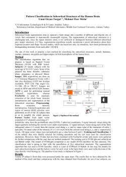 Pattern Classification in Subcortical Structures of the Human Brain