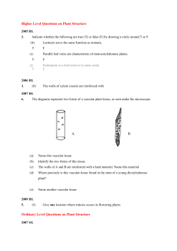 Plant Structure