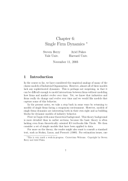 Chapter 6: Single Firm Dynamics