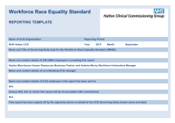 Race Equality Standard template here