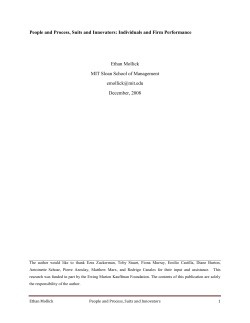 The Firm as a Potemkin Village: Individual Performance in a World