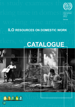 This study examines the nature of working time in domestic
