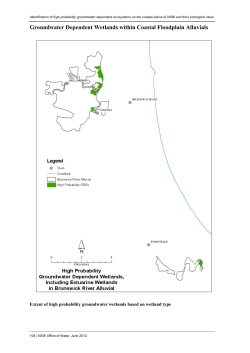 Risk assessment guidelines for groundwater dependent ecosystems