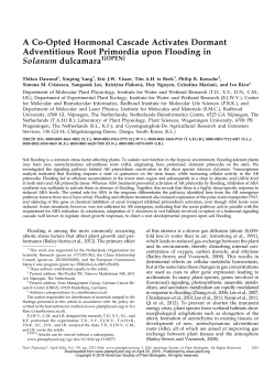 A Co-Opted Hormonal Cascade Activates Dormant Adventitious