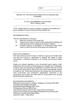 Gypsies and Travellers