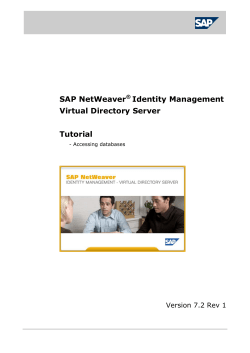 SAP NetWeaver Identity Management Virtual Directory