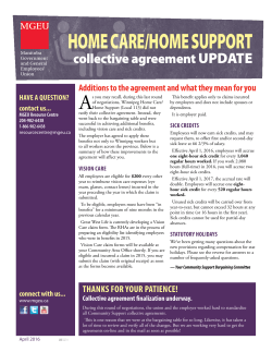 home care/home support