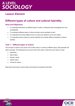 Different types of culture and cultural hybridity