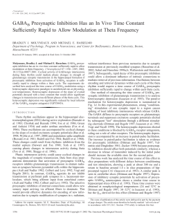 GABAB Presynaptic Inhibition Has an In Vivo
