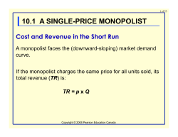 10.1 a single-price monopolist