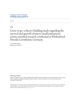 a theory-building study regarding the survival and growth of micro