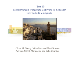 Top 10 Mediterranean Winegrape Cultivars To Consider for Foothills