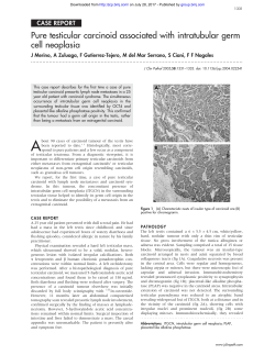 Pure testicular carcinoid associated with intratubular germ cell