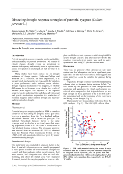 Dissecting drought-response strategies of perennial ryegrass