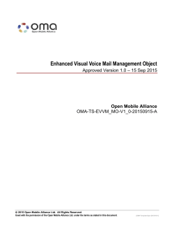 OMA-TS-EVVM_MO-V1_0