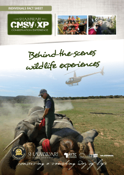Behind-the-scenes wildlife experiences