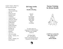 Business brochure (Level design)