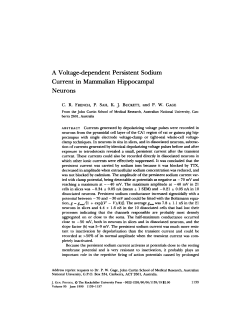 A Voltage-dependent Persistent Sodium Current in