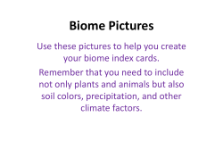 Biome Pictures