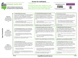 DYNAMIC TALENT MAP Version for individuals