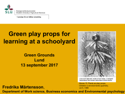 Green play props for learning at a schoolyard