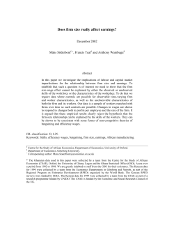 Does firm size really affect earnings?