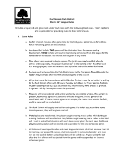 2017 Adult Softball 16inch Rules