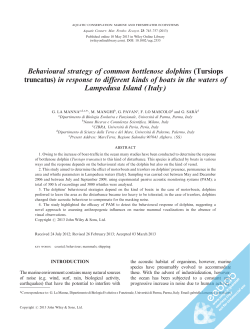 Behavioural strategy of common bottlenose dolphins (Tursiops