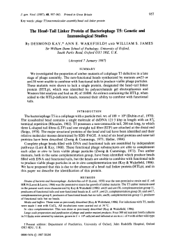 The Head-Tail Linker Protein of Bacteriophage T5