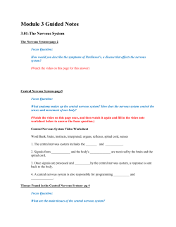nervous tissue worksheet