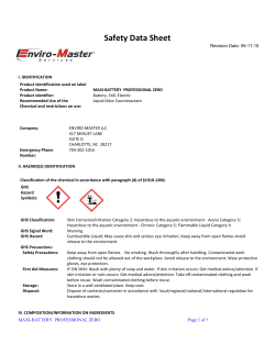 enviro-master prof. maxi