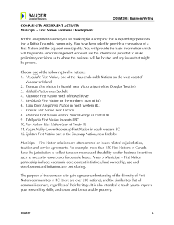 COMMUNITY ASSESSMENT ACTIVITY Municipal