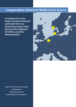 Cooperation between Multi-level Actors