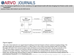 Slide - Journal of Vision