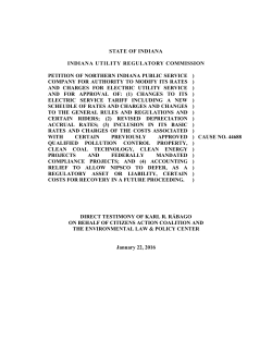 Rabago CAC IURC Cause 44688 Direct Testimony